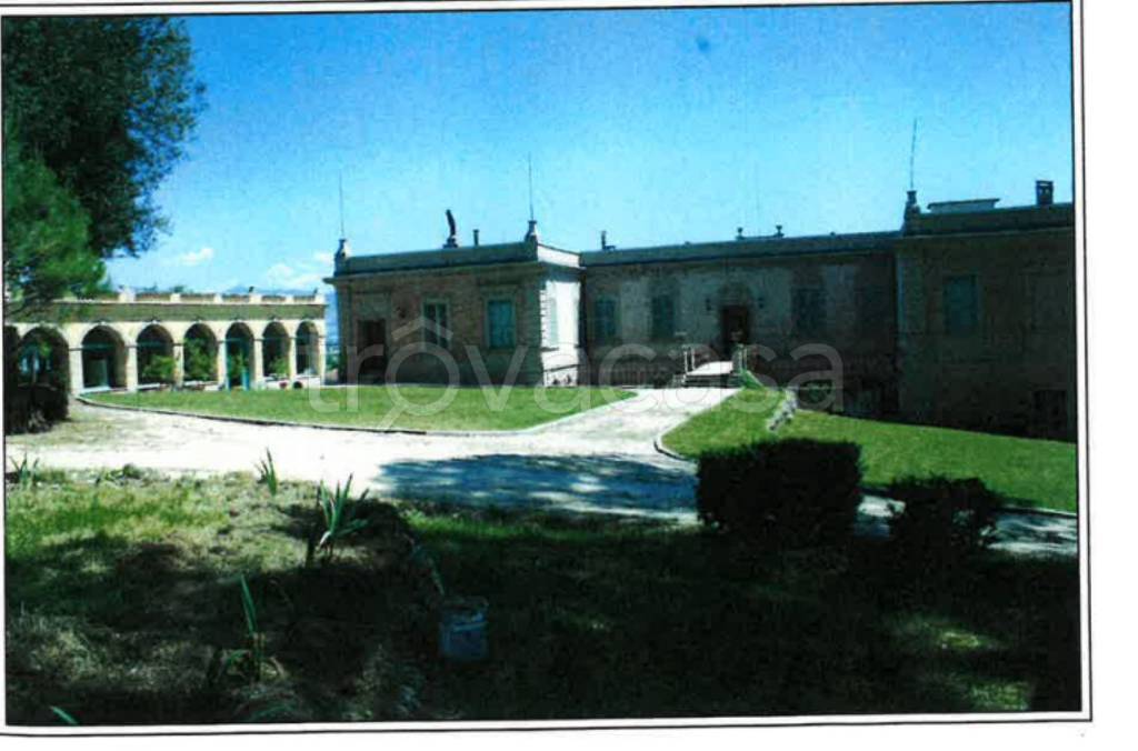 immagine annuncio 5 di 13