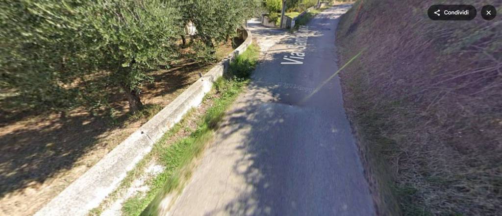 immagine annuncio 6 di 12
