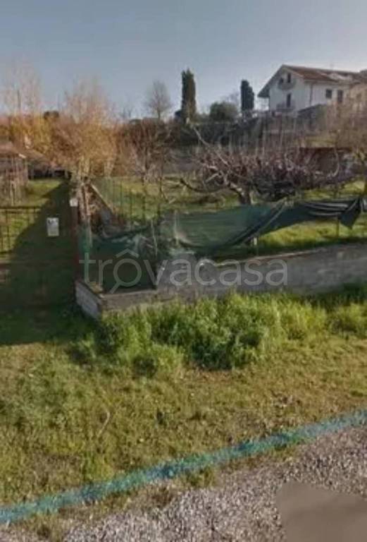 immagine annuncio 3 di 8