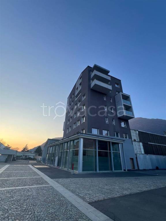 immagine annuncio 4 di 8