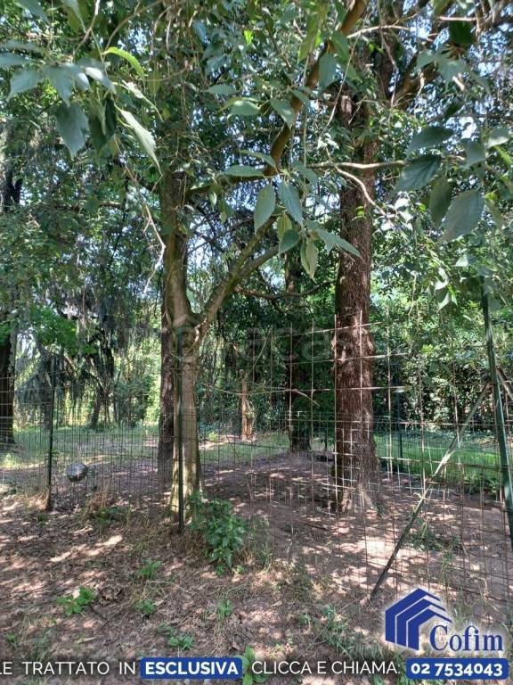 immagine annuncio 7 di 15