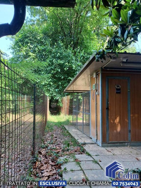 immagine annuncio 5 di 15