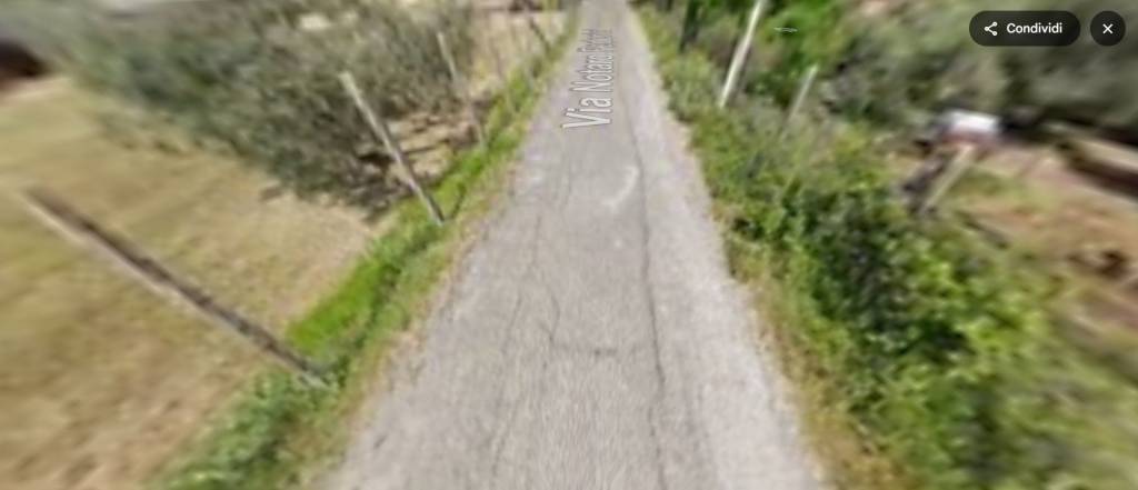 immagine annuncio 8 di 14