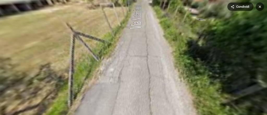 immagine annuncio 9 di 14