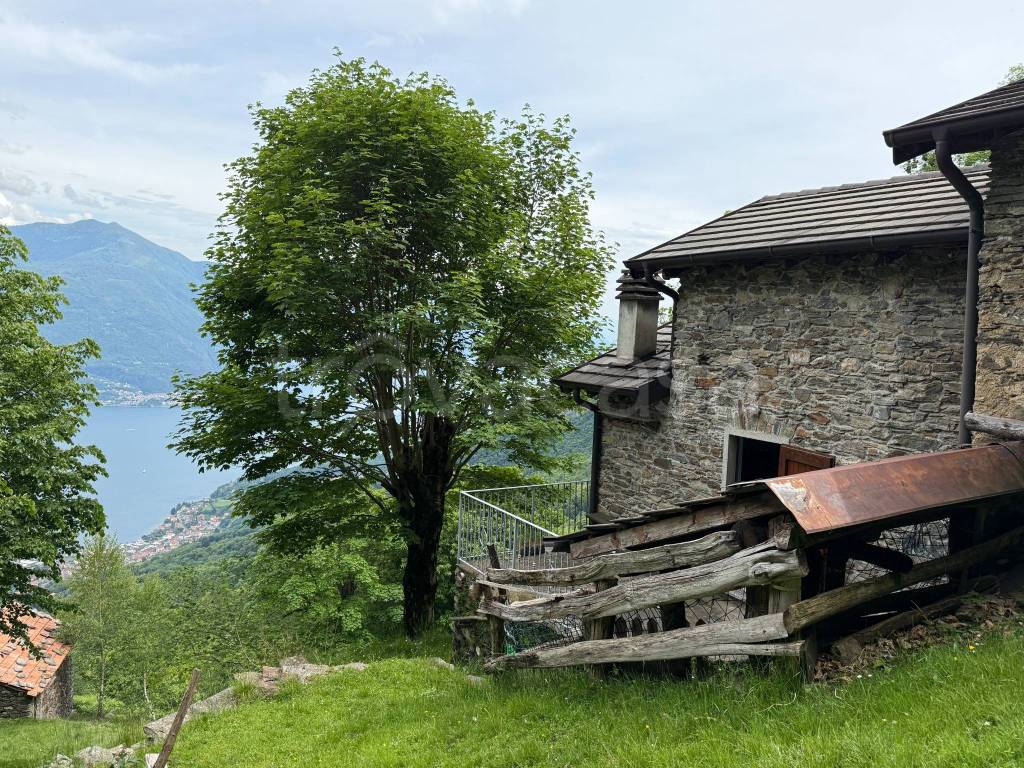 immagine annuncio 6 di 14