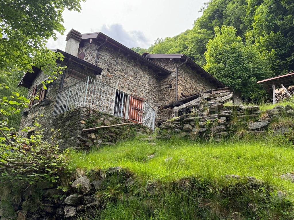 immagine annuncio 11 di 14