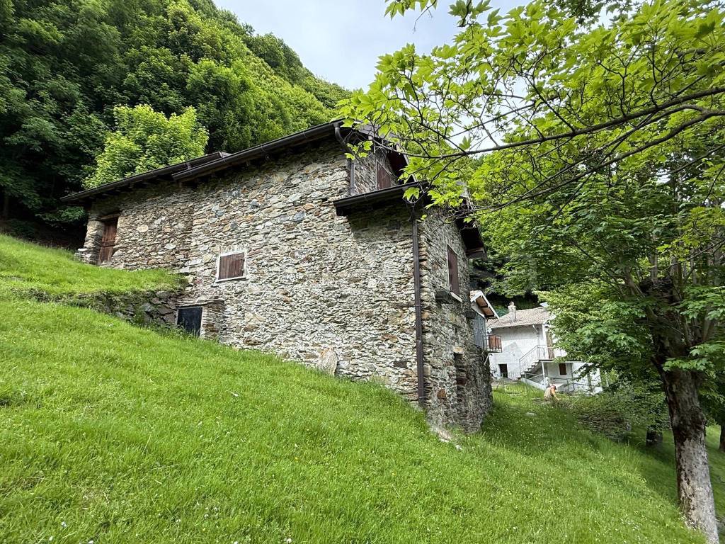 immagine annuncio 2 di 14
