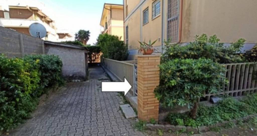 immagine annuncio 3 di 14