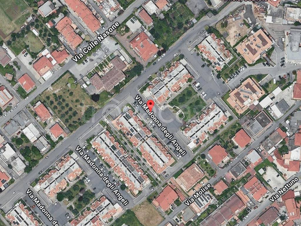 immagine annuncio 1 di 11