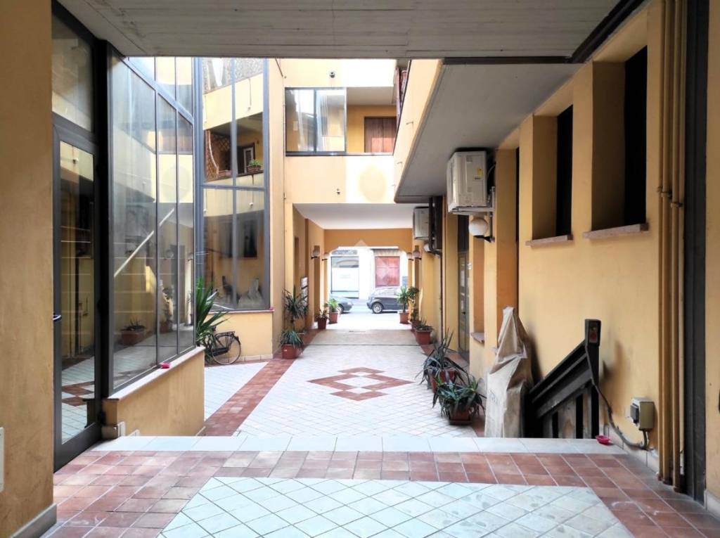 immagine annuncio 1 di 14