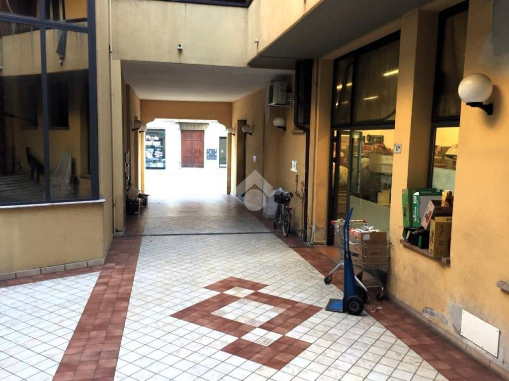 immagine annuncio 3 di 14