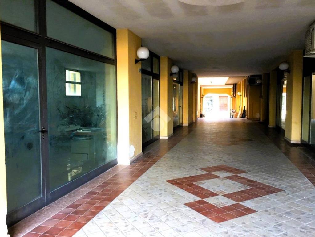 immagine annuncio 6 di 14