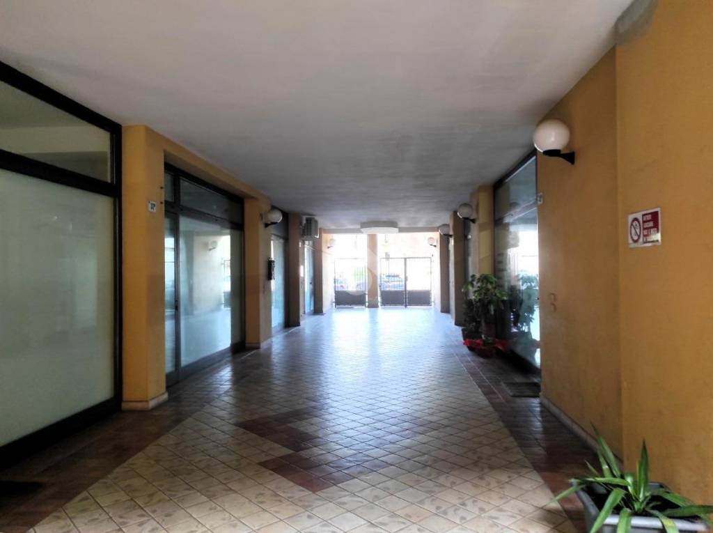 immagine annuncio 9 di 14