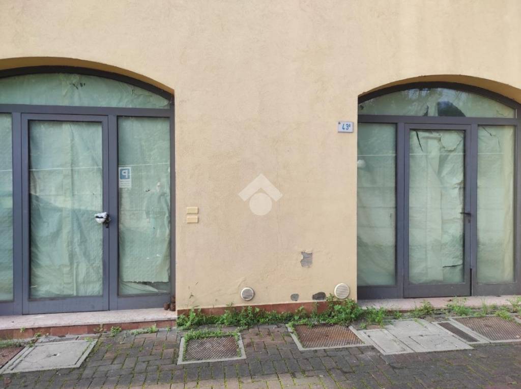 immagine annuncio 11 di 14