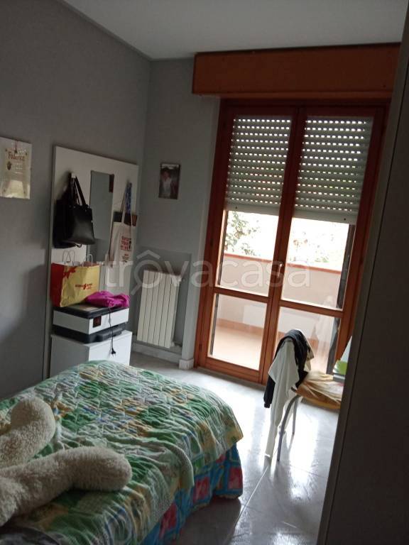 immagine annuncio 3 di 9