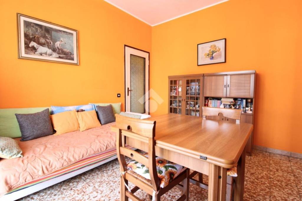 immagine annuncio 3 di 14