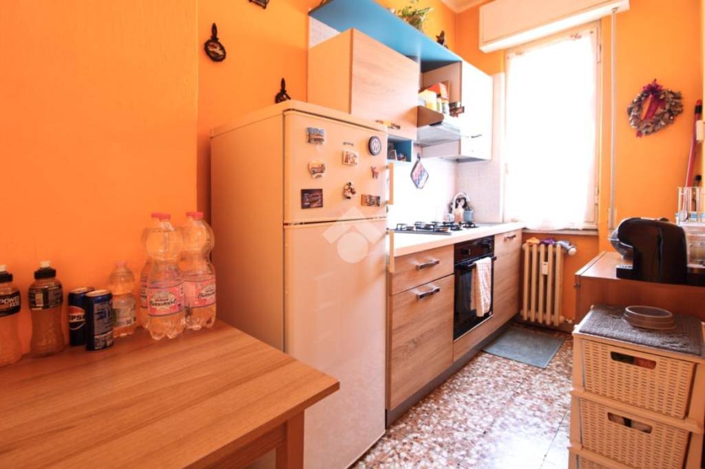 immagine annuncio 4 di 14