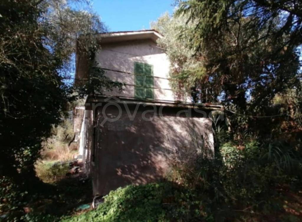 immagine annuncio 10 di 14