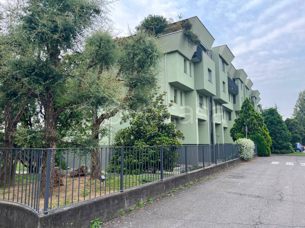 immagine annuncio 5 di 13