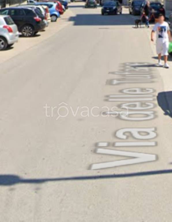 immagine annuncio 3 di 11