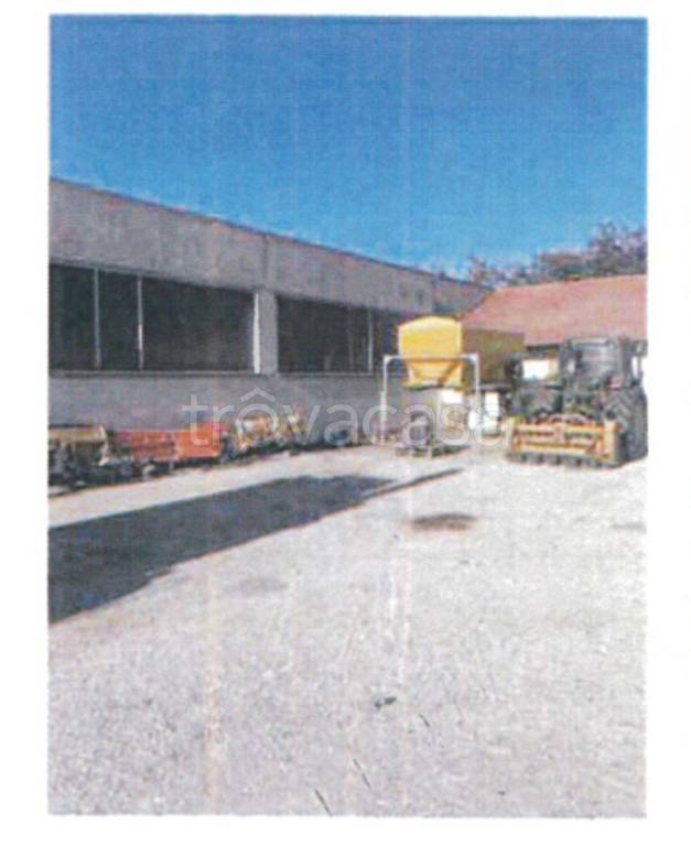 immagine annuncio 8 di 13
