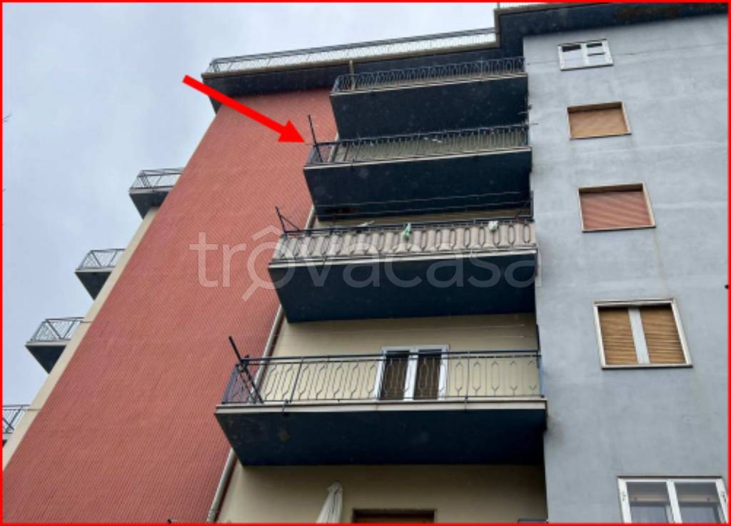 immagine annuncio 1 di 14