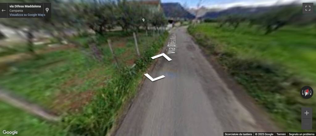 immagine annuncio 5 di 13