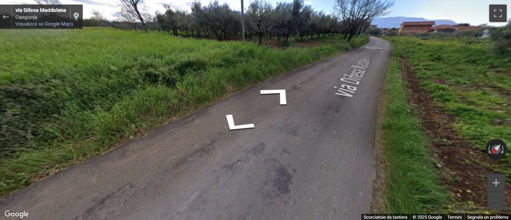 immagine annuncio 9 di 13