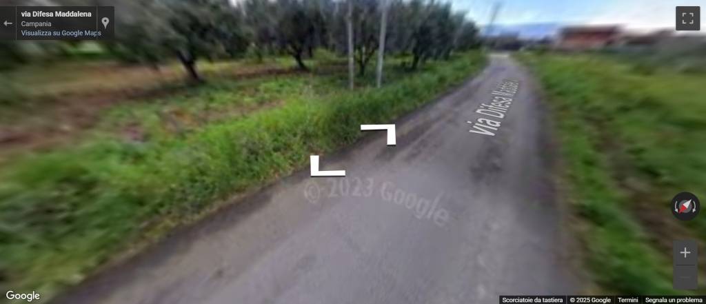 immagine annuncio 10 di 13