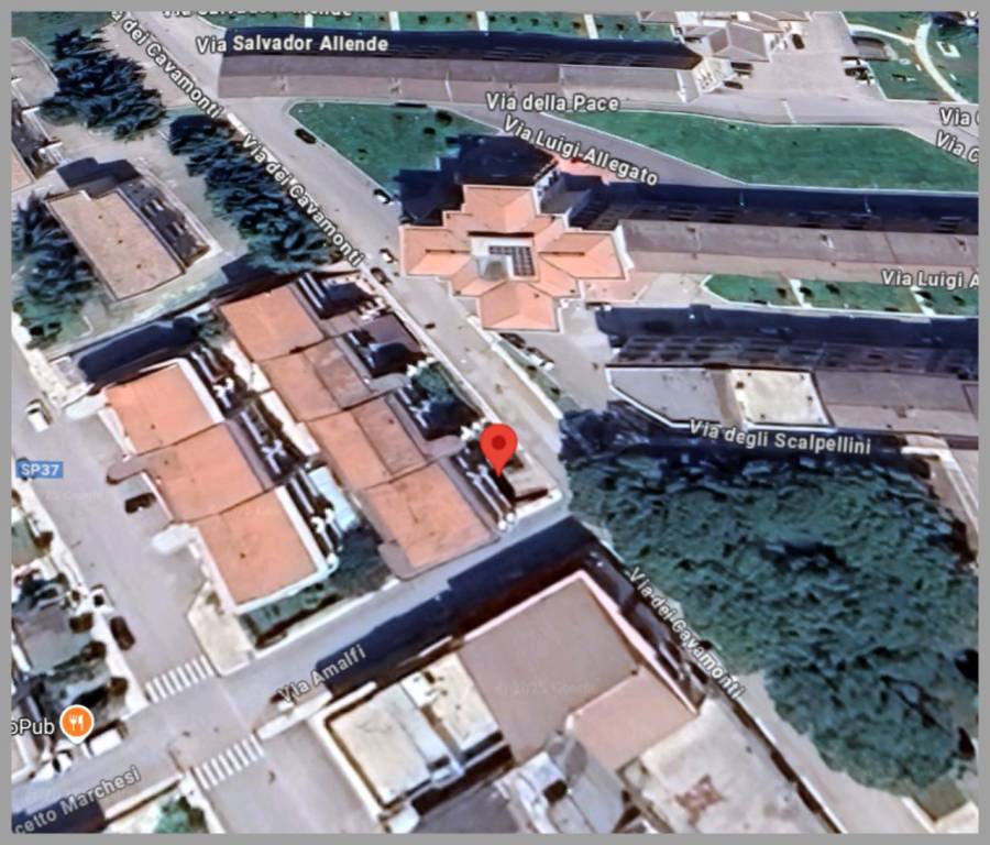 immagine annuncio 9 di 15
