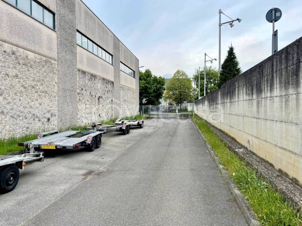 immagine annuncio 3 di 8