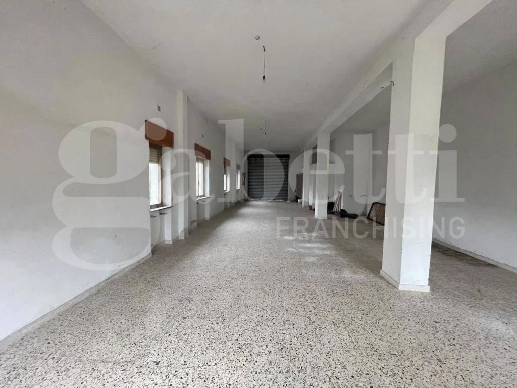 immagine annuncio 2 di 8