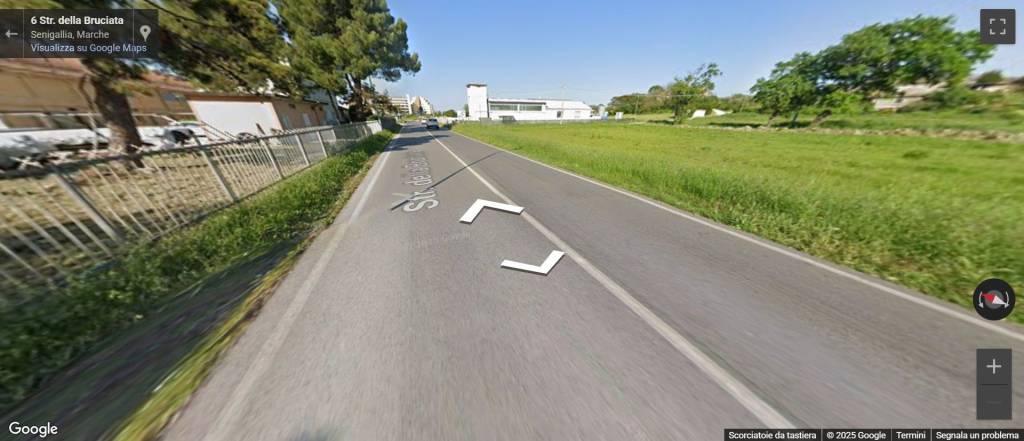 immagine annuncio 9 di 12