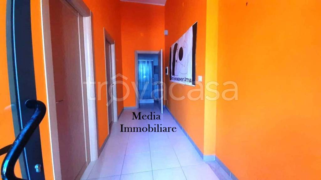 immagine annuncio 3 di 13