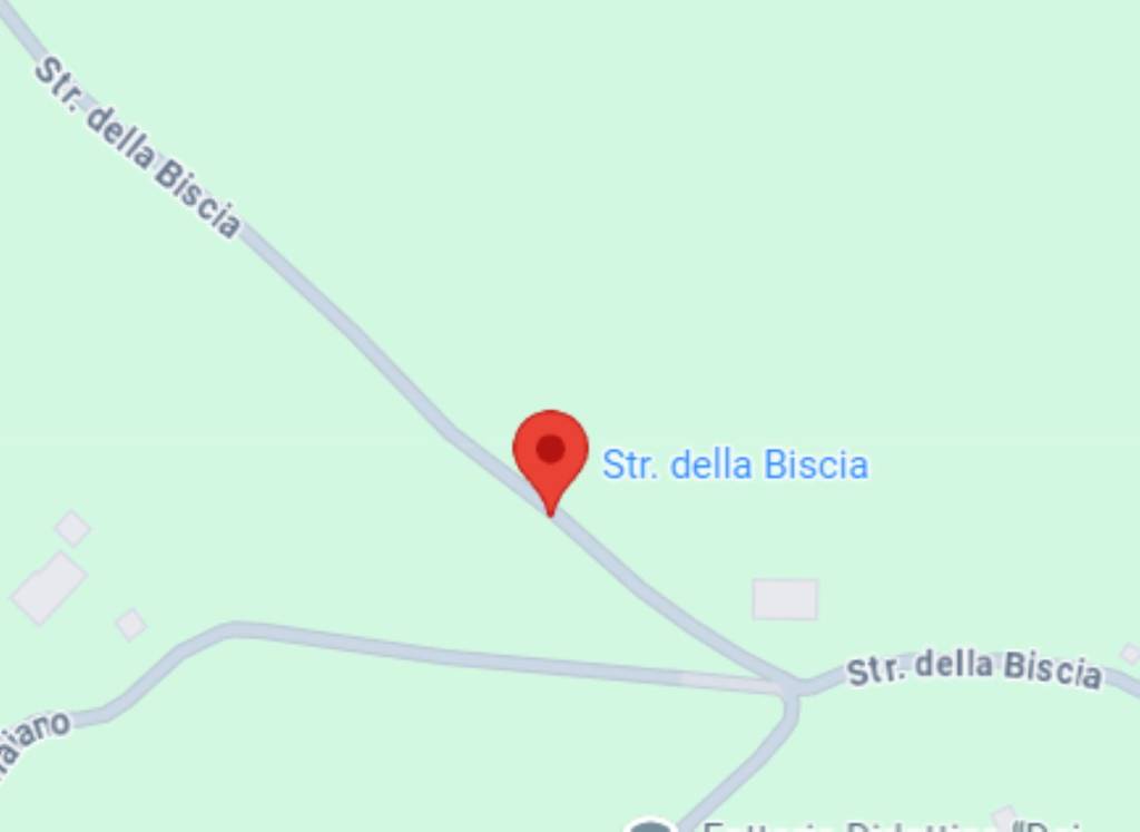 immagine annuncio 5 di 11