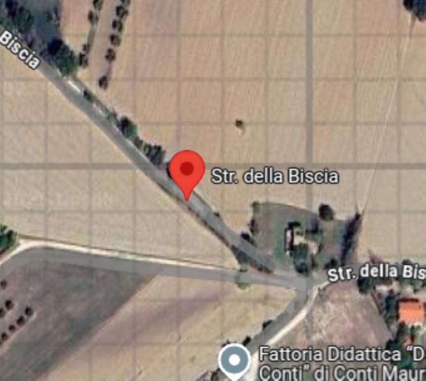 immagine annuncio 6 di 11
