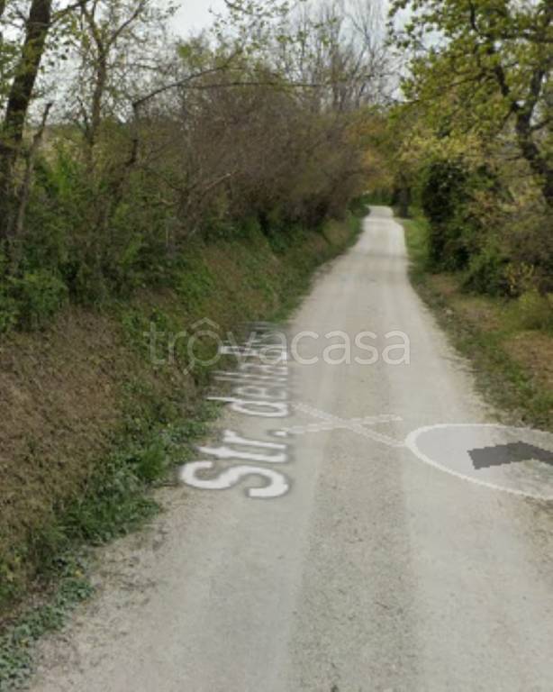 immagine annuncio 10 di 11