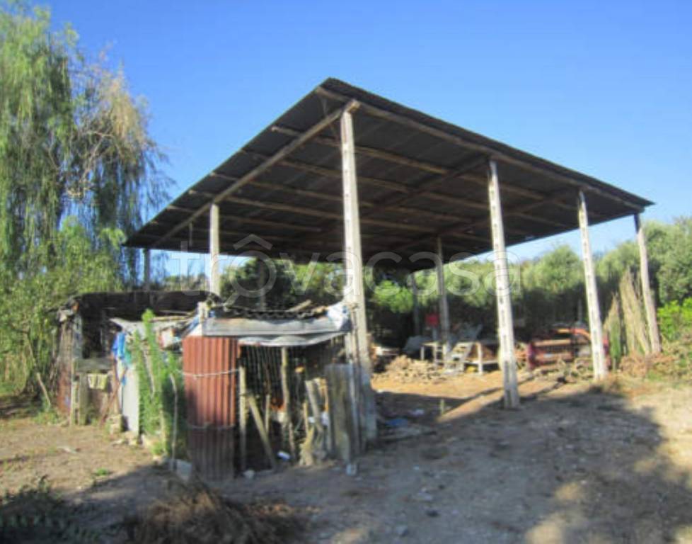immagine annuncio 7 di 11