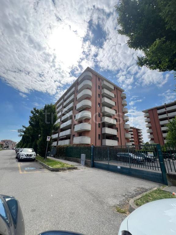 immagine annuncio 1 di 14