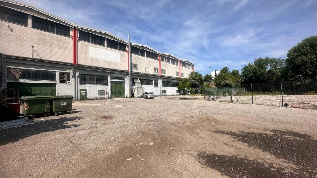 immagine annuncio 5 di 15