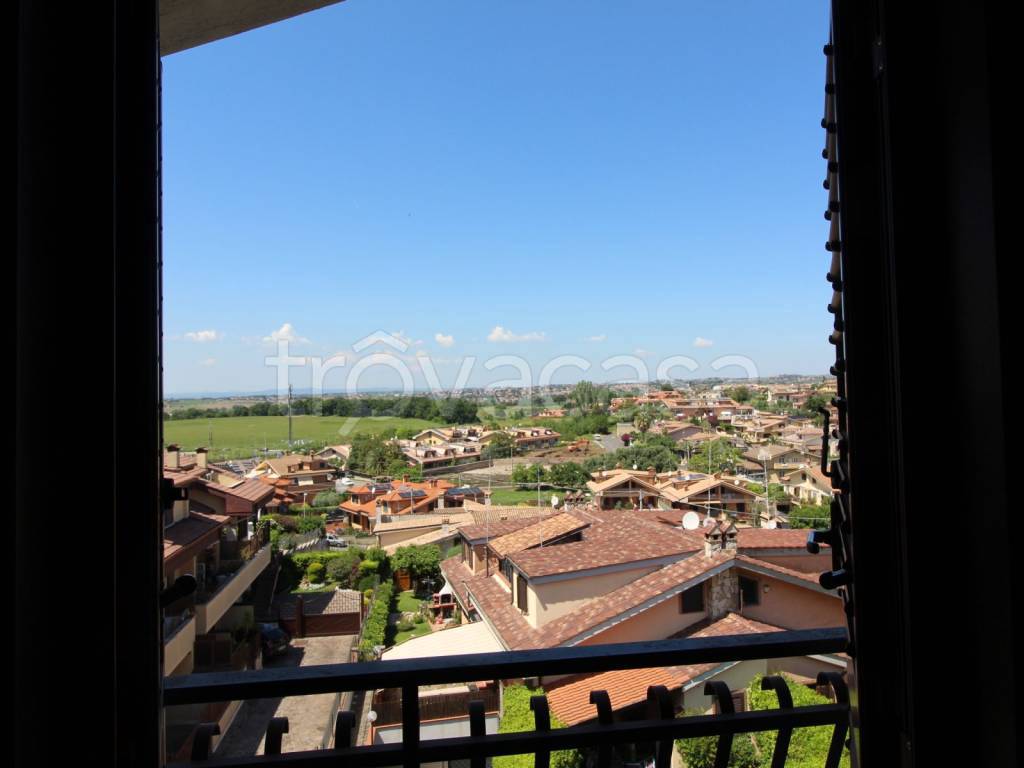 immagine annuncio 4 di 14