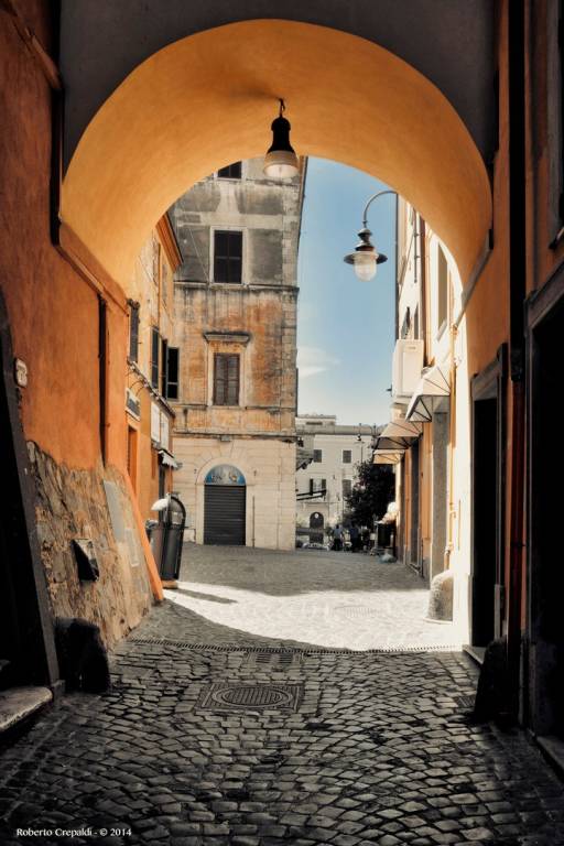 immagine annuncio 11 di 14