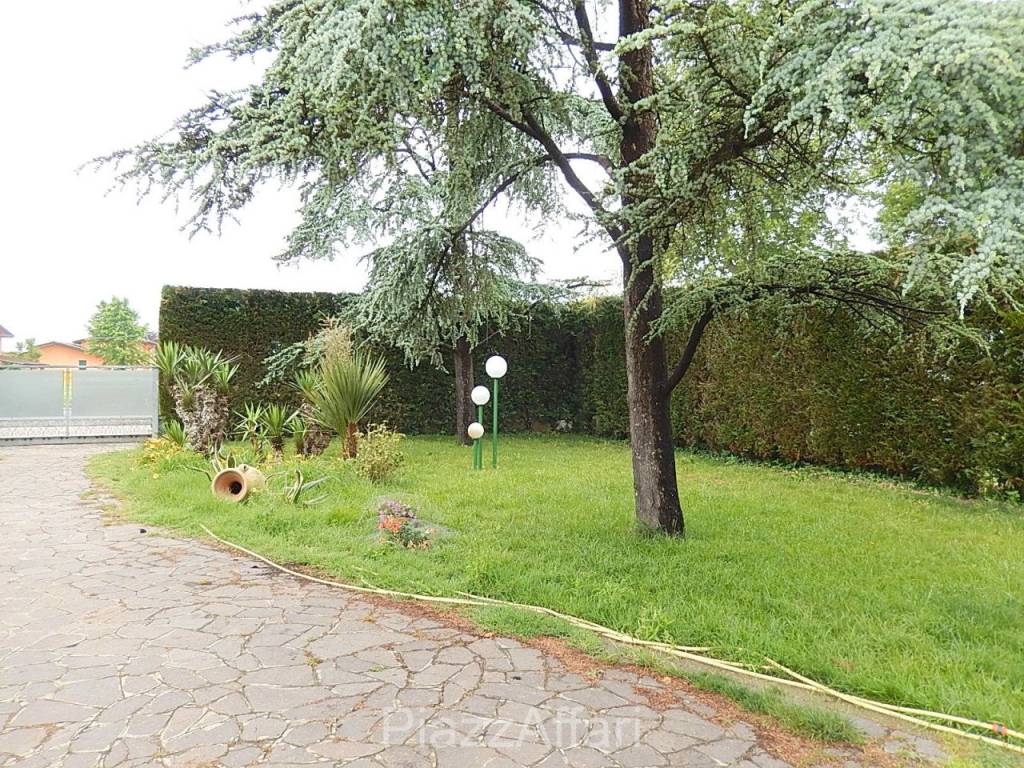 immagine annuncio 5 di 12