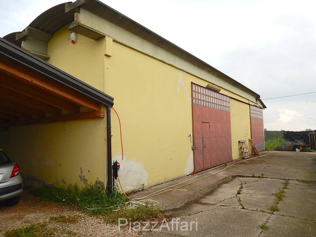 immagine annuncio 10 di 12