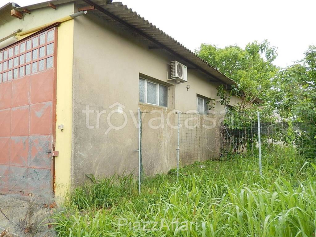 immagine annuncio 11 di 12