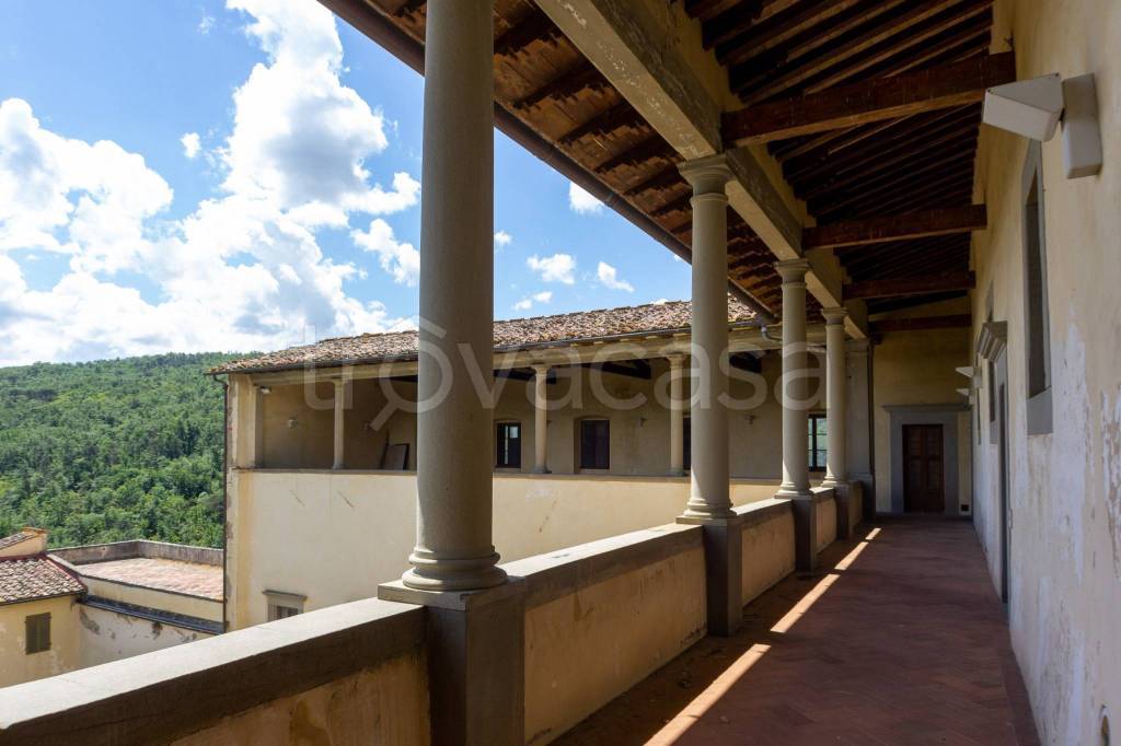 immagine annuncio 10 di 14
