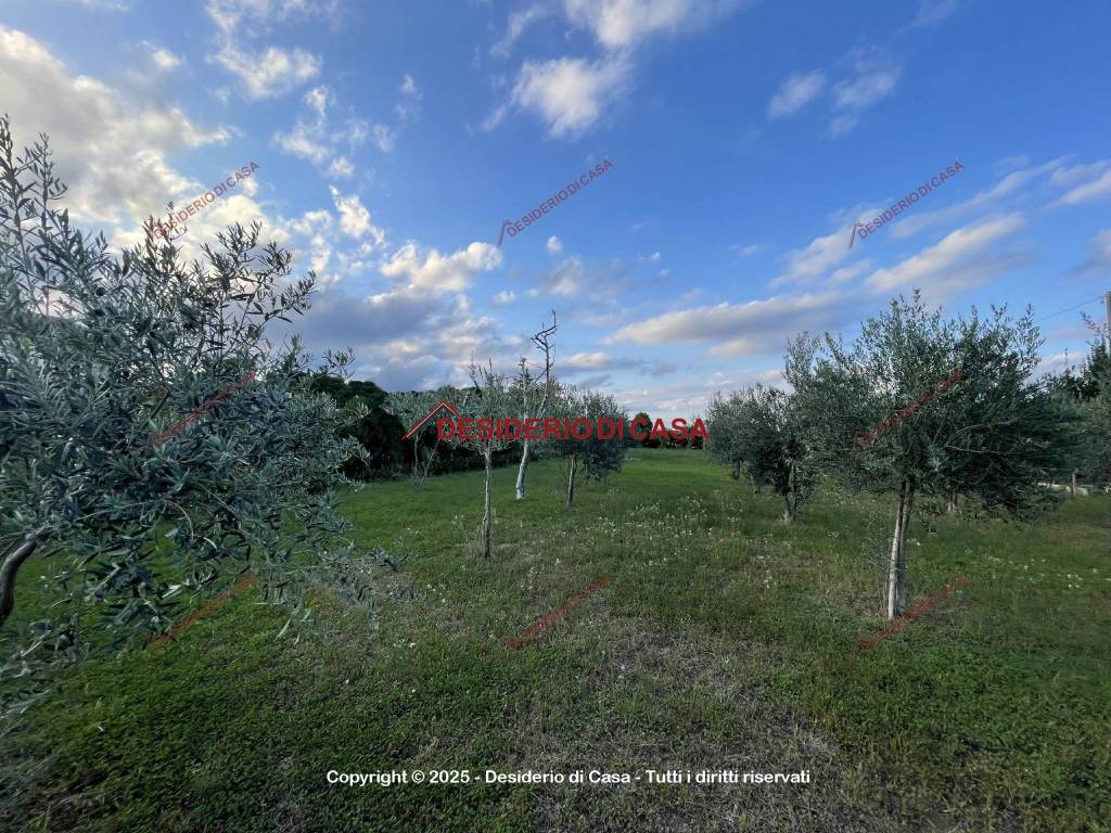immagine annuncio 2 di 3