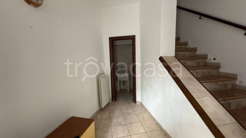 immagine annuncio 10 di 14