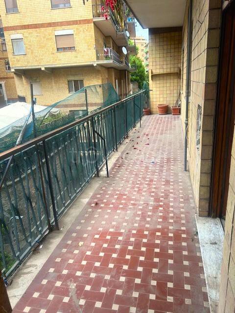 immagine annuncio 5 di 14