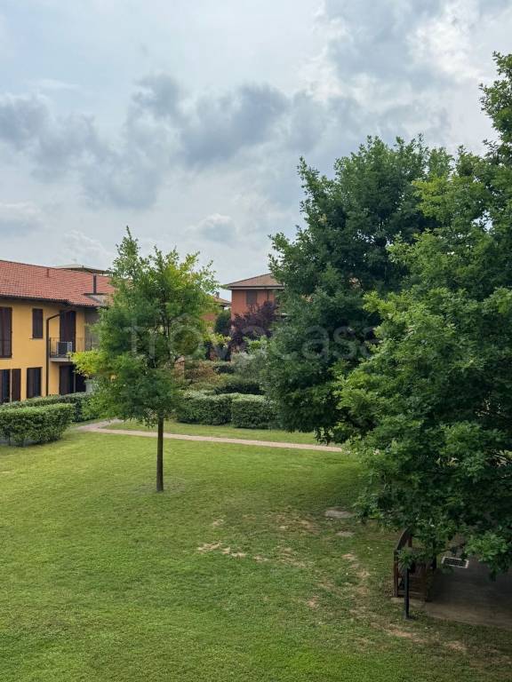 immagine annuncio 1 di 4